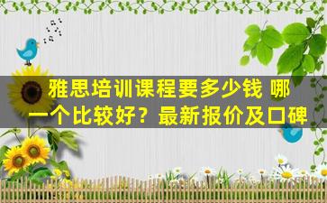 雅思培训课程要多少钱 哪一个比较好？最新报价及口碑